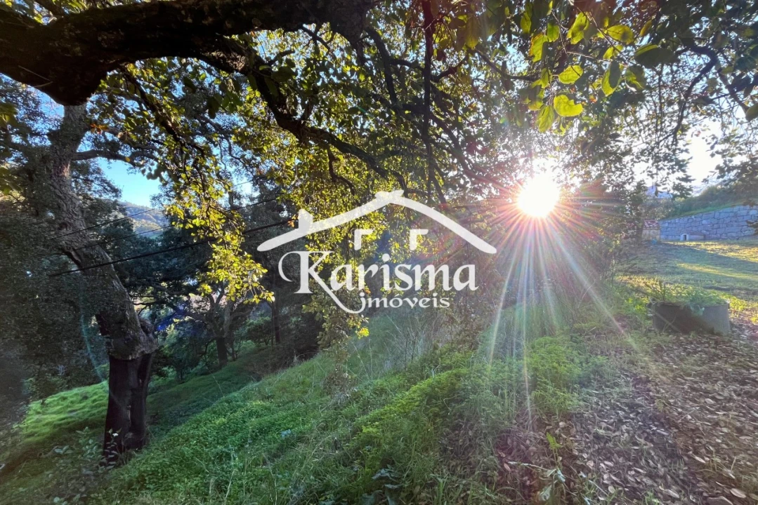 Quinta T2 para Venda em Monchique Foto 2