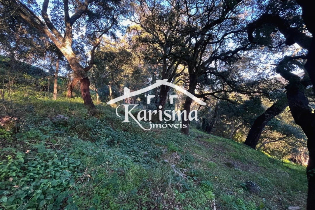 Quinta T2 para Venda em Monchique Foto 7