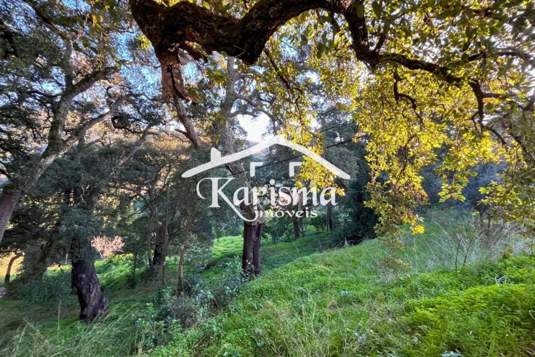 Quinta T2 para Venda em Monchique Foto 8