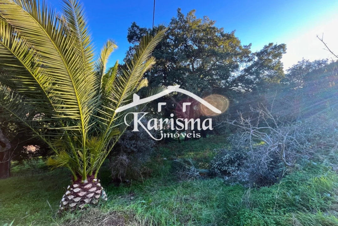 Quinta T2 para Venda em Monchique Foto 9