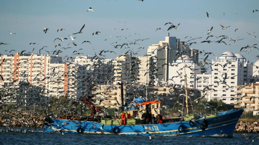Apartamento T3 para Venda em Portimão Foto 17