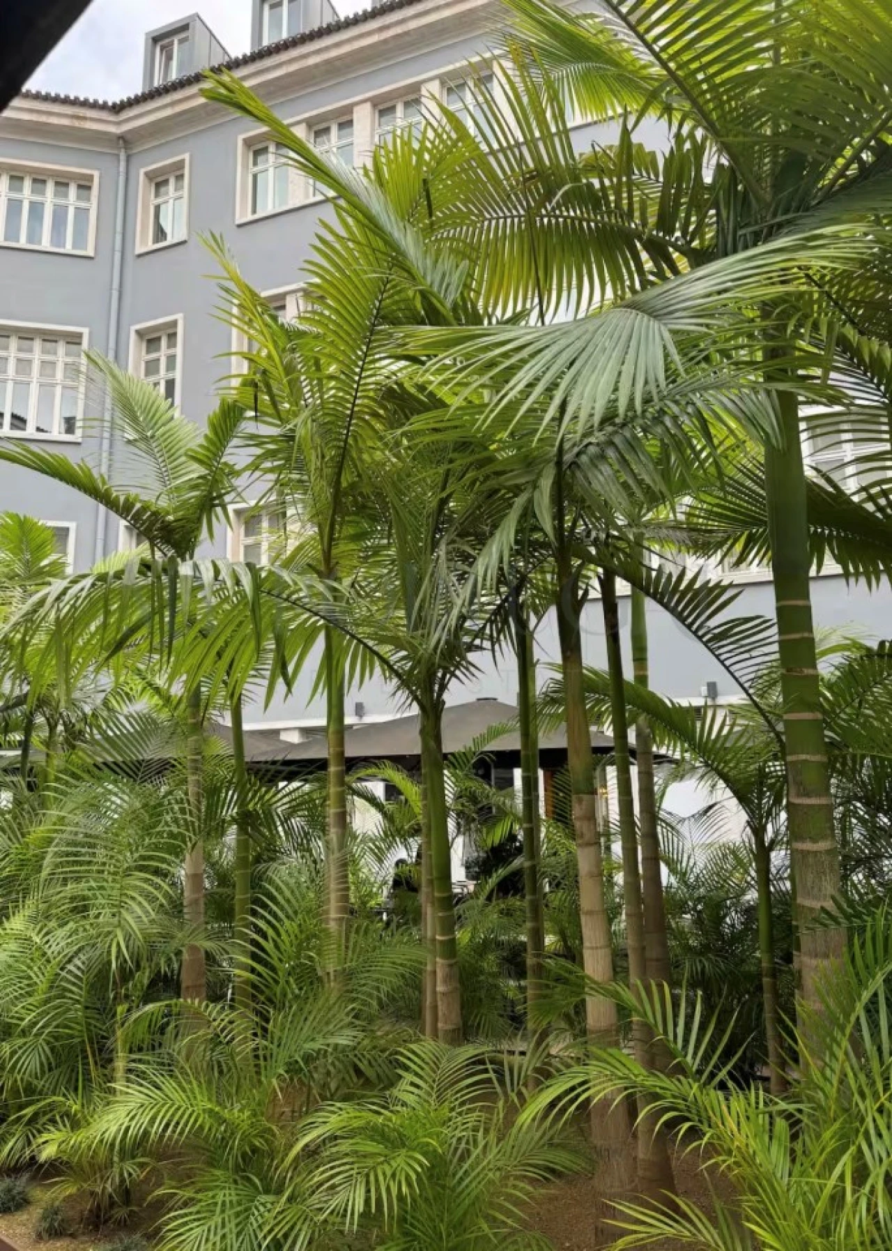 Apartamento T2 para Venda em Misericórdia Foto 27