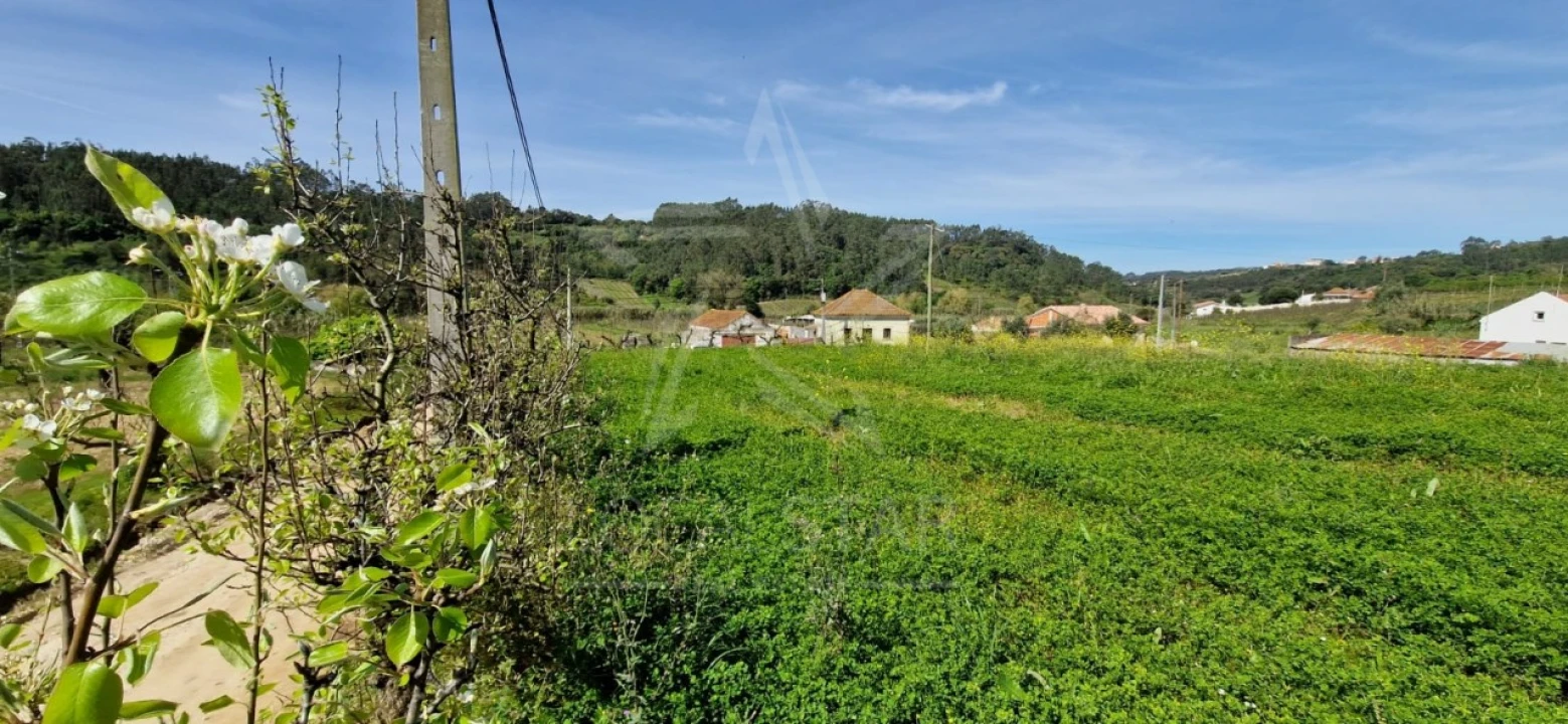 Terreno para Venda em Santa Catarina Foto 10