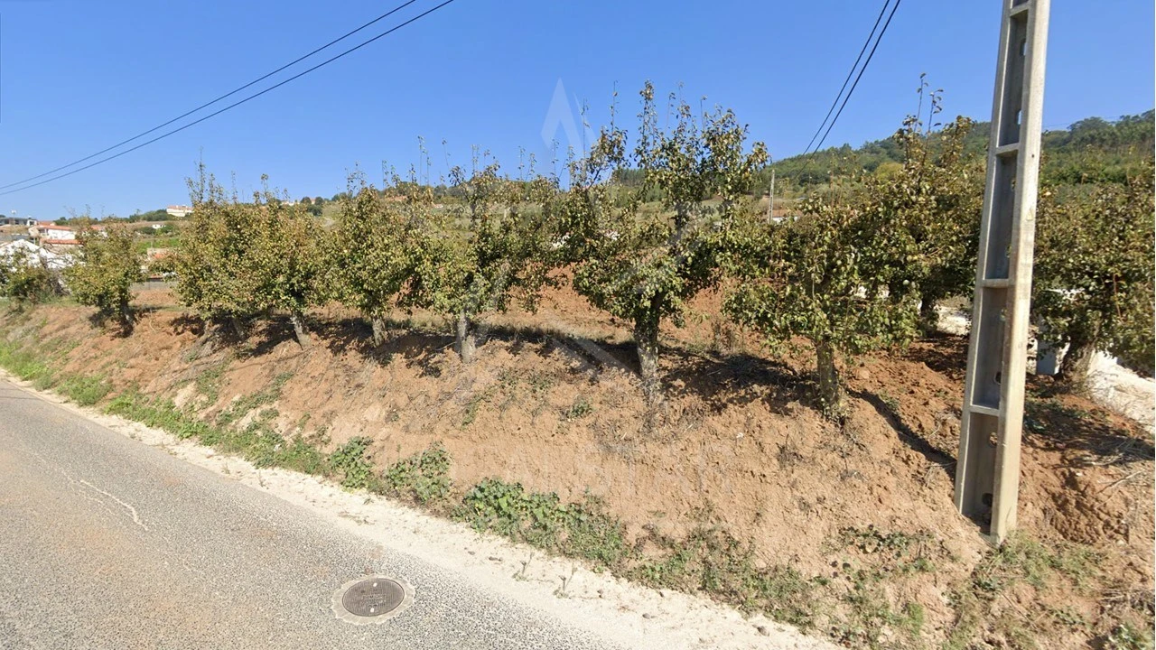 Terreno para Venda em Santa Catarina Foto 17