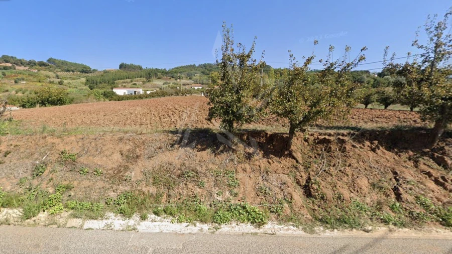 Terreno para Venda em Santa Catarina Foto 12