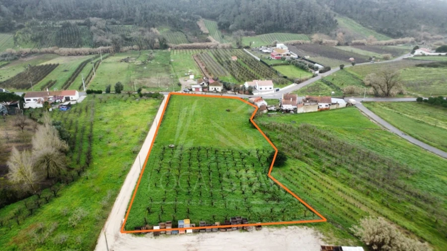 Terreno para Venda em Santa Catarina Foto 6