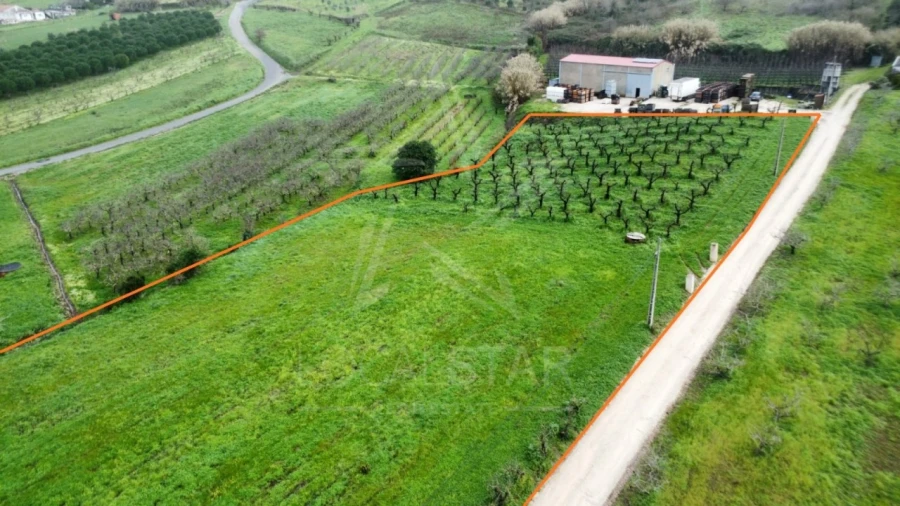 Terreno para Venda em Santa Catarina Foto 8