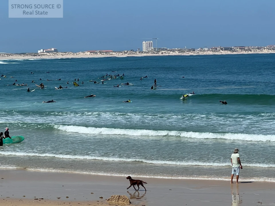 Terreno para Venda em Ferrel Foto 30