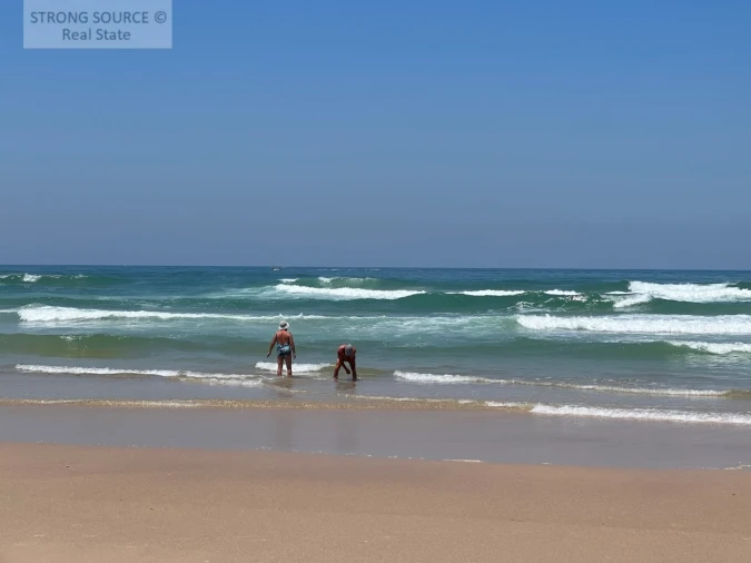 Terreno para Venda em Ferrel Foto 60