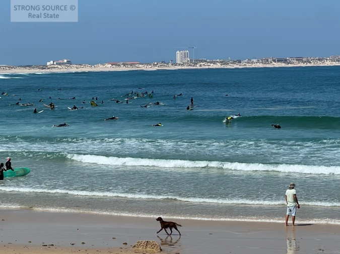 Terreno para Venda em Ferrel Foto 30