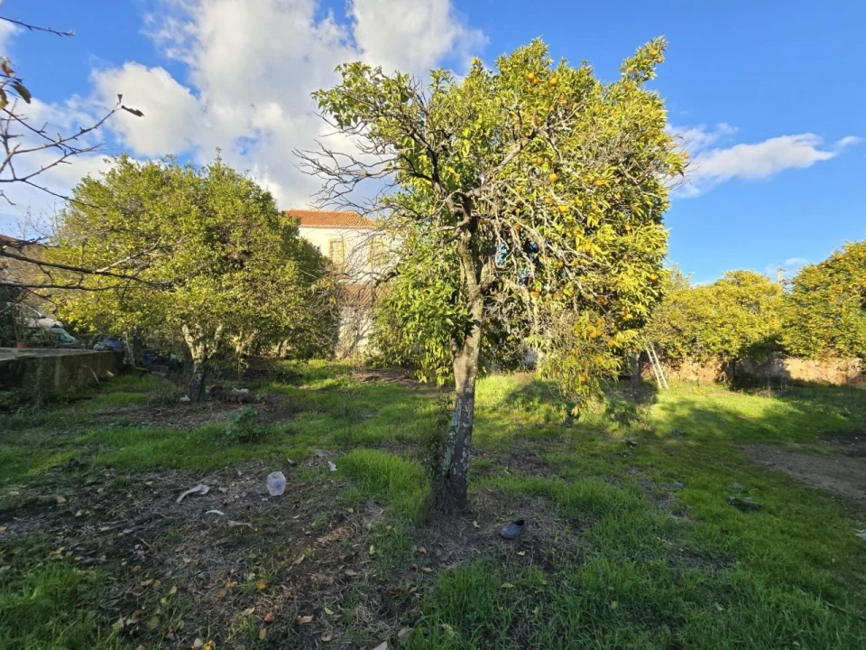 Quinta T4 para Venda em Aranhas Foto 25