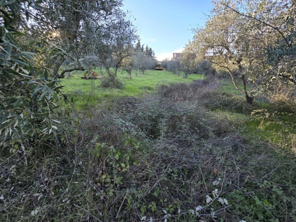 Quinta T4 para Venda em Aranhas Foto 30