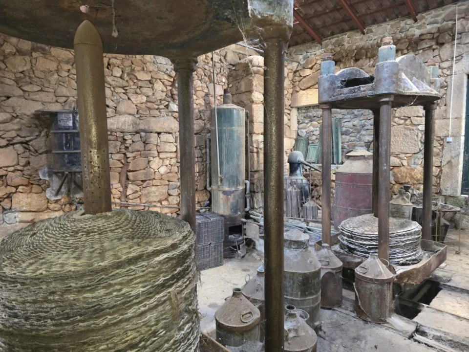 Quinta T4 para Venda em Aranhas Foto 37