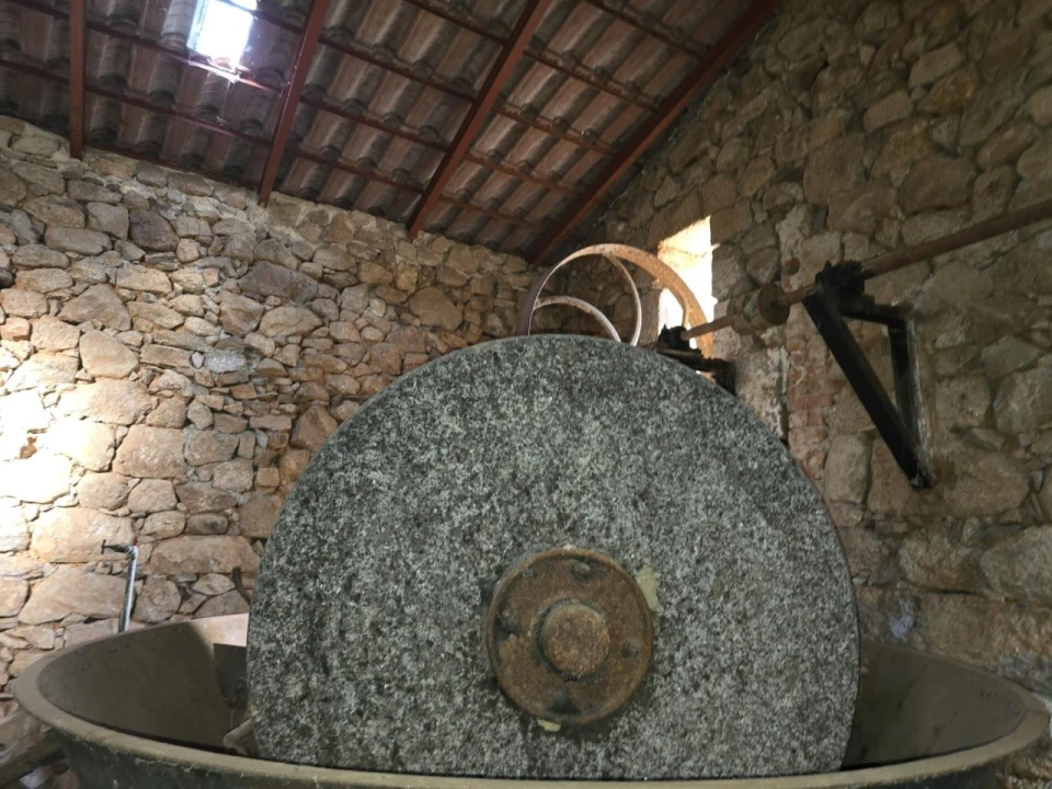 Quinta T4 para Venda em Aranhas Foto 40