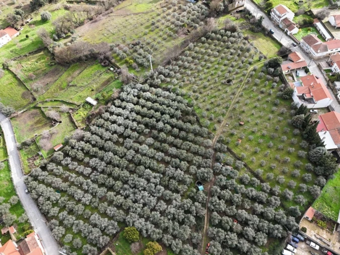 Quinta T4 para Venda em Aranhas Foto 48