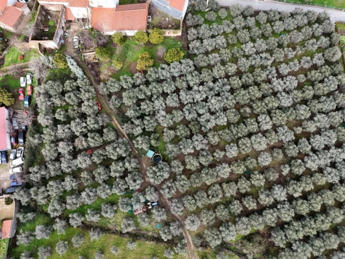 Quinta T4 para Venda em Aranhas Foto 49