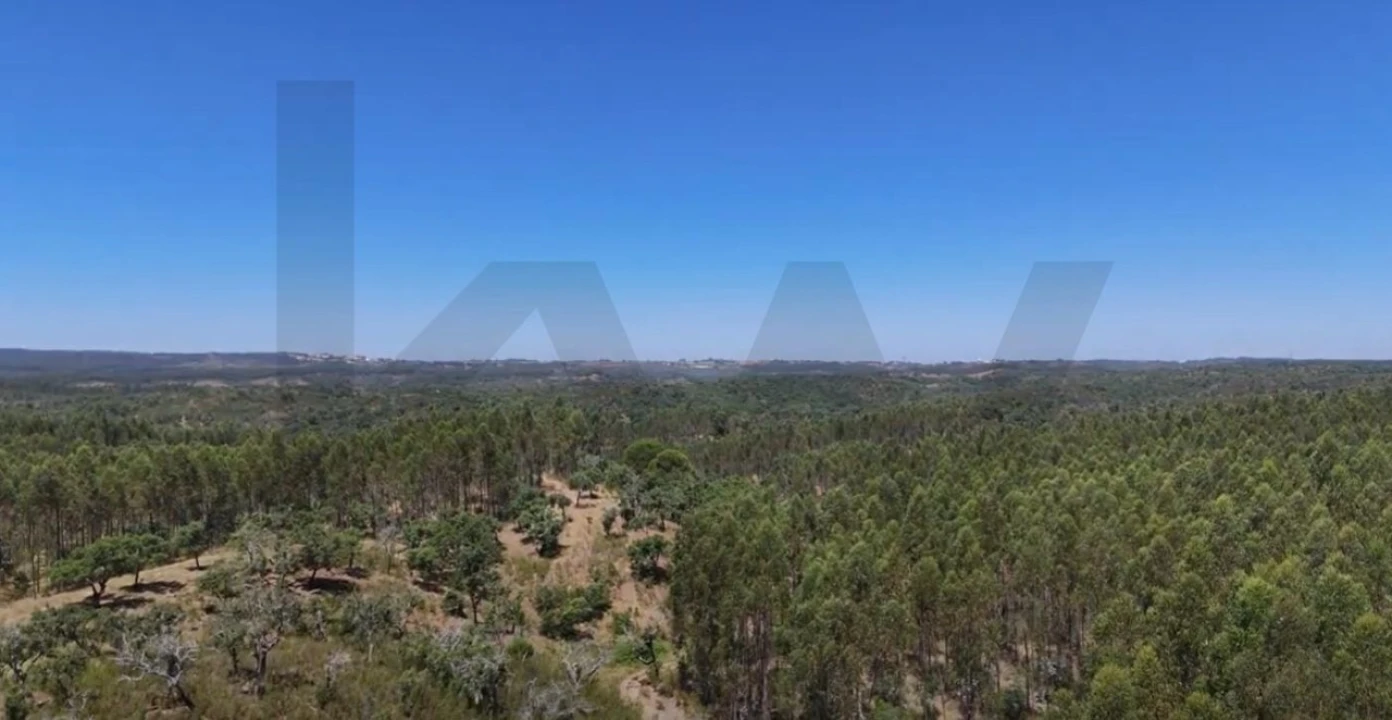 Terreno para Venda em Santiago do Cacém, Santa Cruz e São Bartolomeu da Serra Foto 17