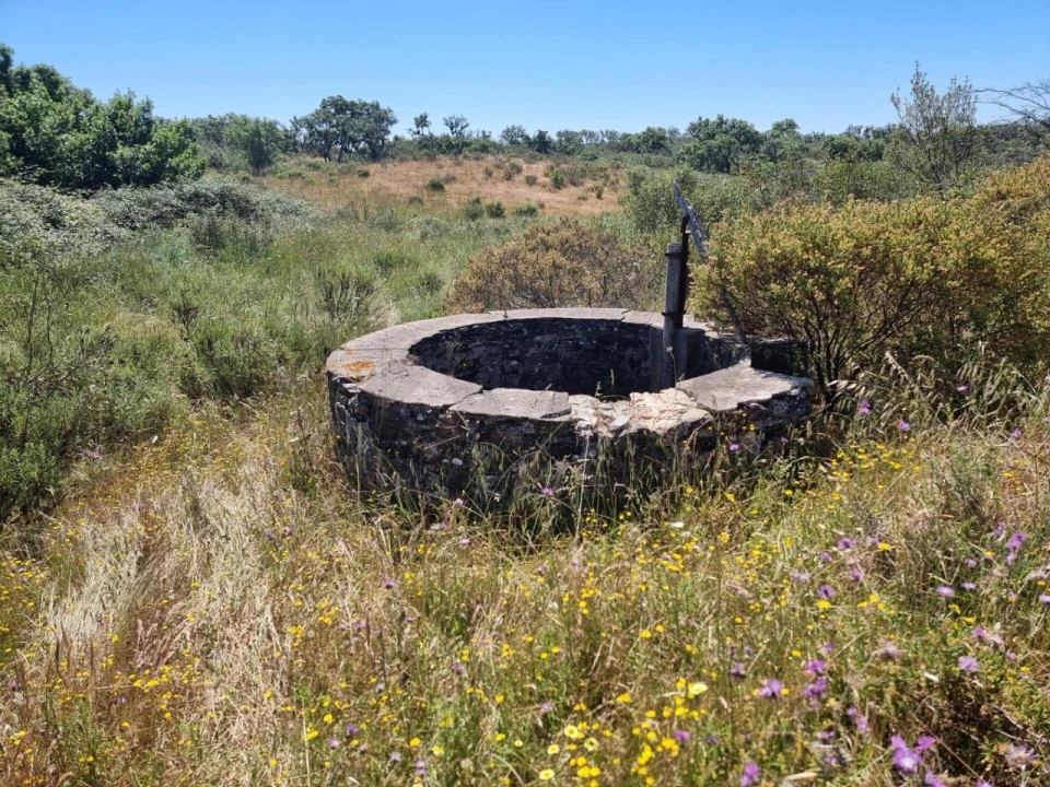Terreno para Venda em Santiago do Cacém, Santa Cruz e São Bartolomeu da Serra Foto 22