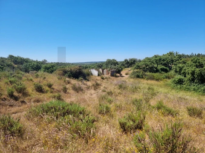 Terreno para Venda em Santiago do Cacém, Santa Cruz e São Bartolomeu da Serra Foto 29