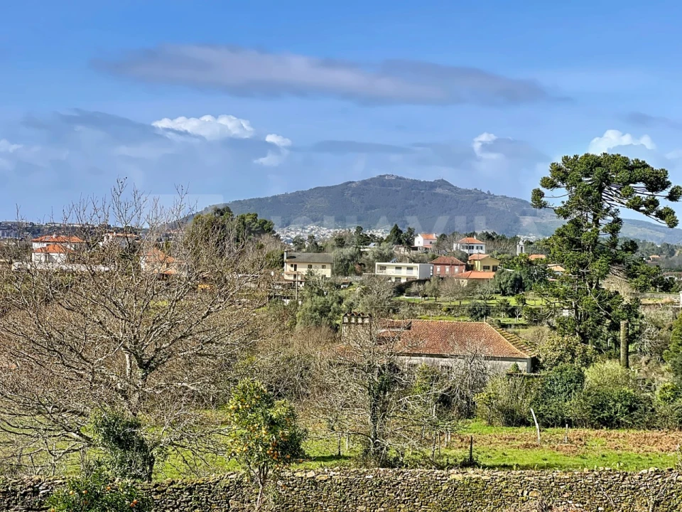 Quinta para Venda em Venade e Azevedo Foto 7