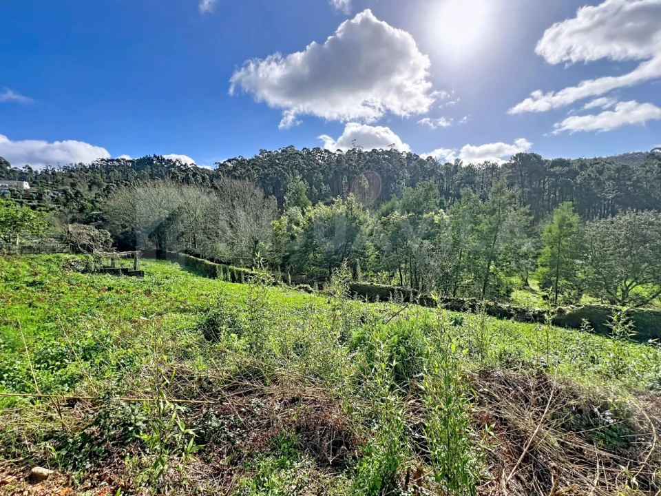 Quinta para Venda em Venade e Azevedo Foto 14