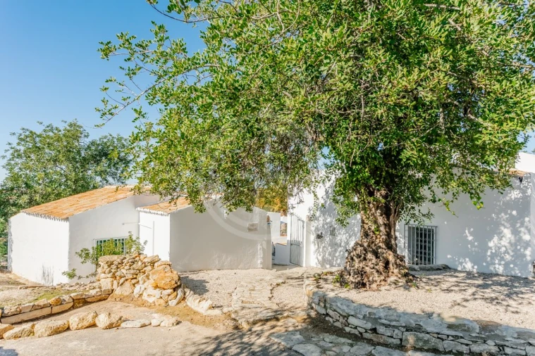 Moradia T4 para Venda em Loule (São Clemente) Foto 46