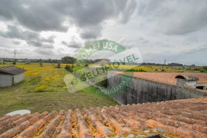 Terreno para Venda em Requeixo, Nossa Senhora de Fátima e Nariz