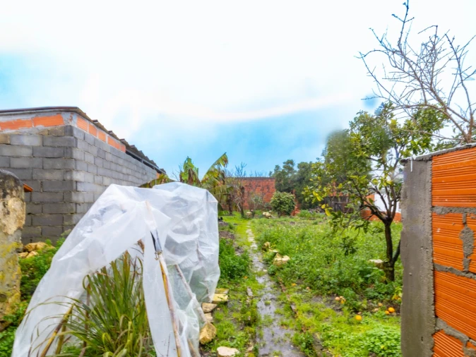 Moradia T2 para Venda em Portunhos e Outil Foto 10
