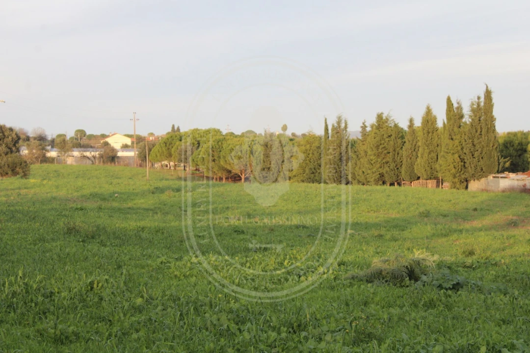 Terreno para Venda em Madalena e Beselga Foto 4