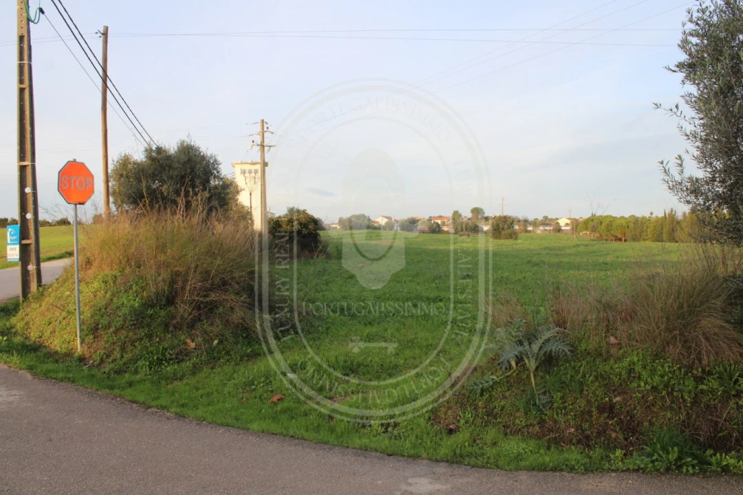 Terreno para Venda em Madalena e Beselga Foto 3