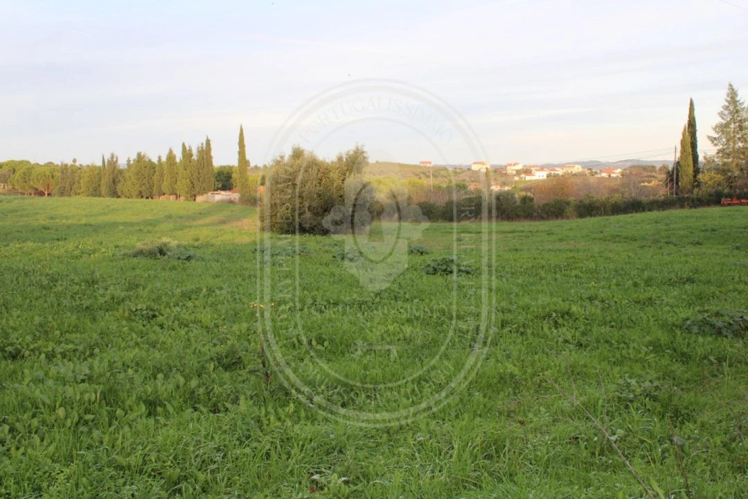 Terreno para Venda em Madalena e Beselga Foto 2