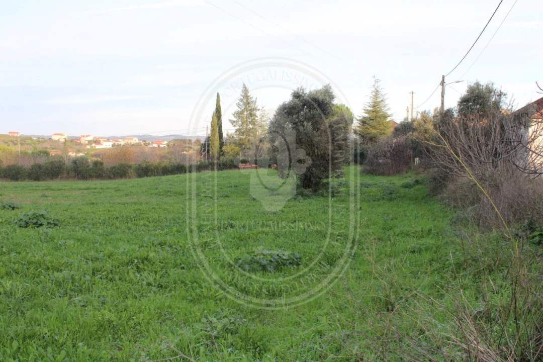 Terreno para Venda em Madalena e Beselga Foto 12