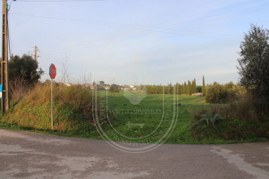 Terreno para Venda em Madalena e Beselga Foto 21