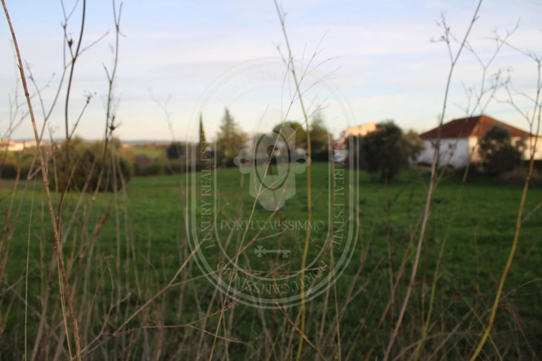 Terreno para Venda em Madalena e Beselga Foto 25