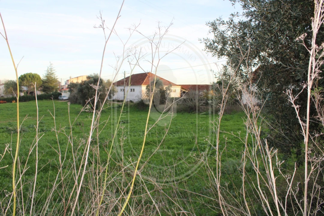 Terreno para Venda em Madalena e Beselga Foto 26
