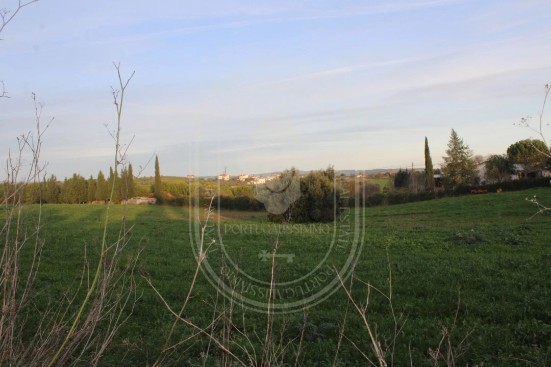 Terreno para Venda em Madalena e Beselga Foto 27