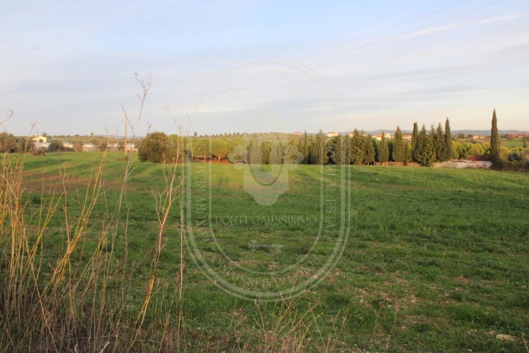 Terreno para Venda em Madalena e Beselga Foto 1