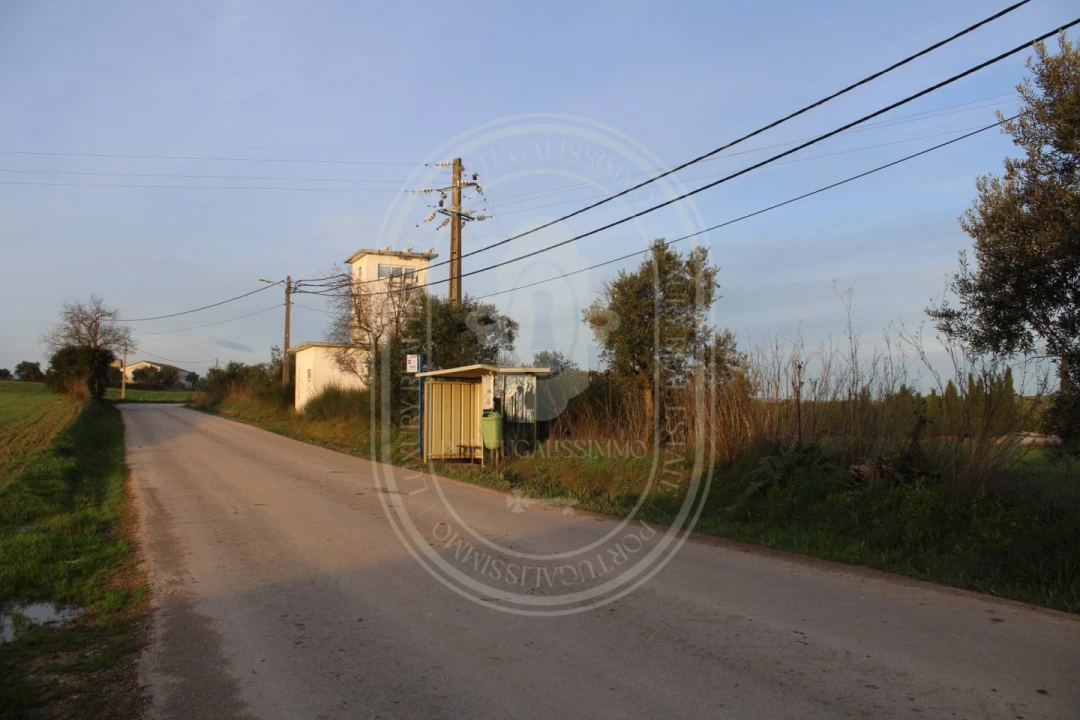 Terreno para Venda em Madalena e Beselga Foto 33