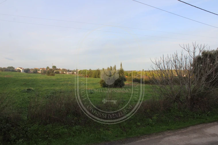 Terreno para Venda em Madalena e Beselga Foto 7