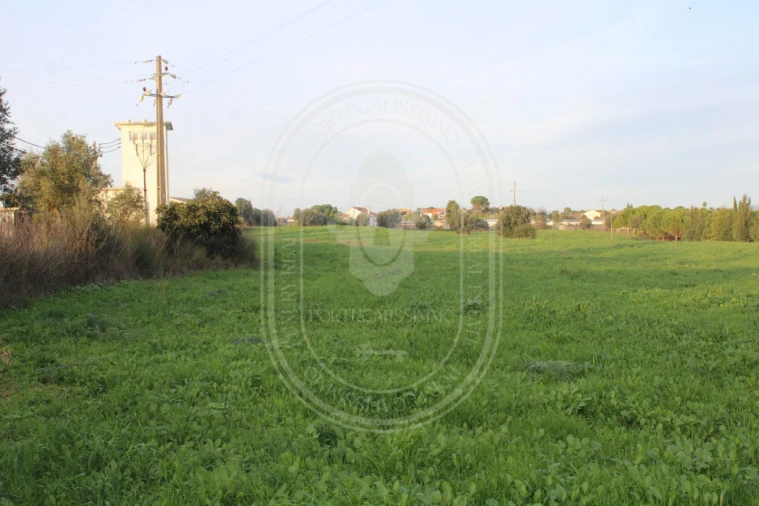 Terreno para Venda em Madalena e Beselga Foto 9