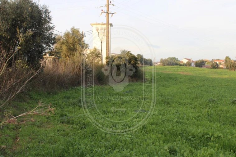 Terreno para Venda em Madalena e Beselga Foto 11