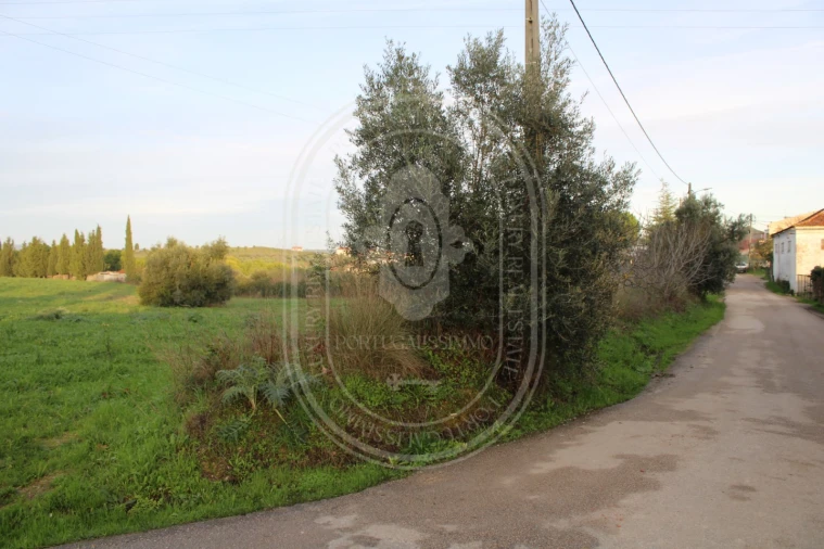 Terreno para Venda em Madalena e Beselga Foto 14