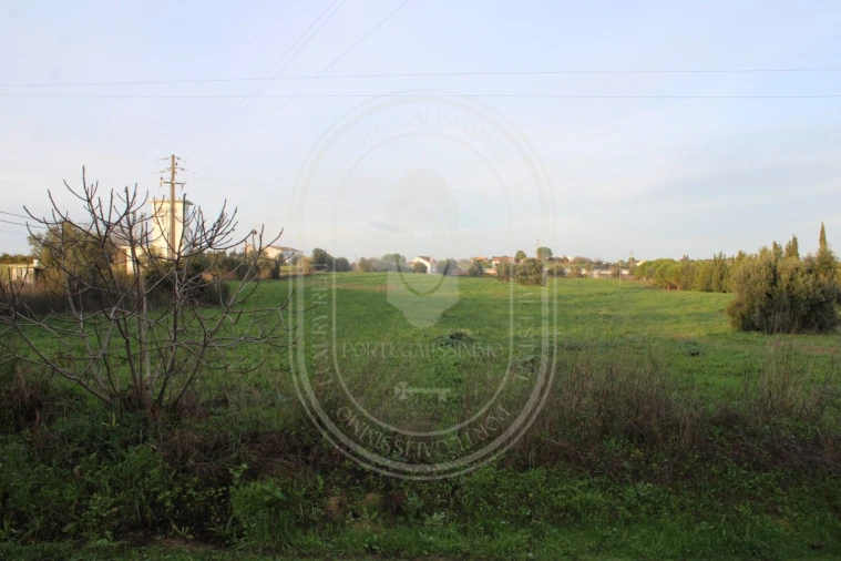 Terreno para Venda em Madalena e Beselga Foto 15