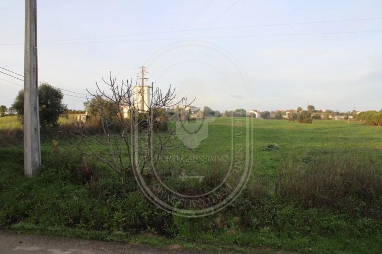 Terreno para Venda em Madalena e Beselga Foto 17