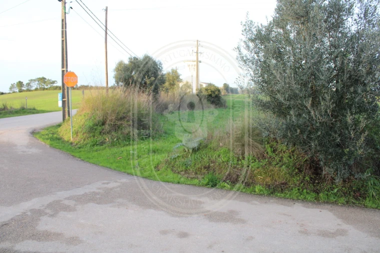 Terreno para Venda em Madalena e Beselga Foto 19