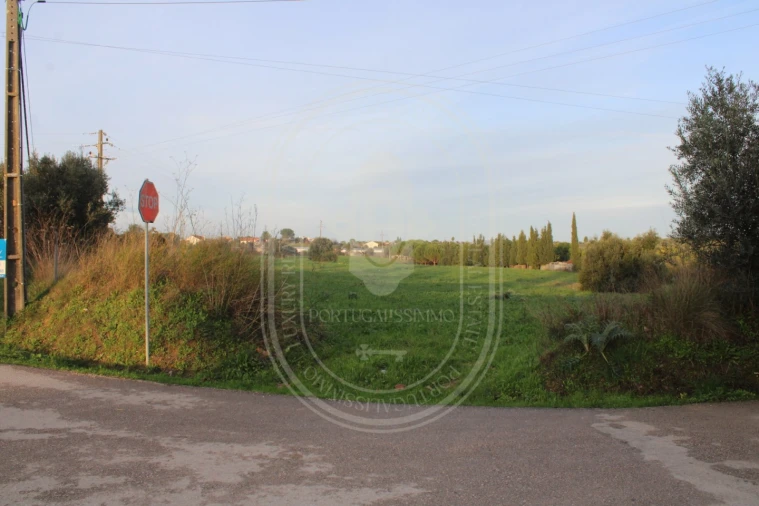 Terreno para Venda em Madalena e Beselga Foto 21