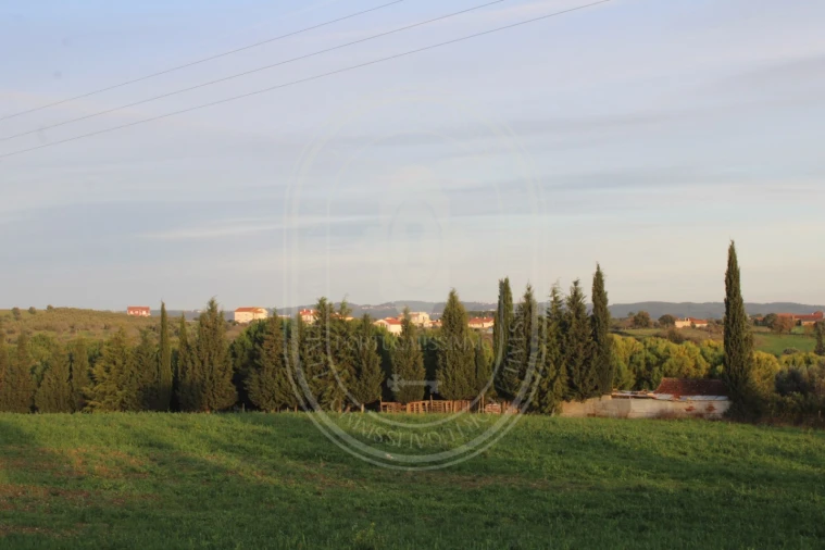 Terreno para Venda em Madalena e Beselga Foto 22
