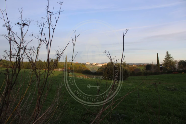 Terreno para Venda em Madalena e Beselga Foto 23