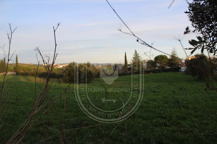 Terreno para Venda em Madalena e Beselga Foto 24