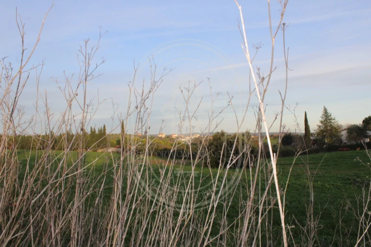 Terreno para Venda em Madalena e Beselga Foto 28